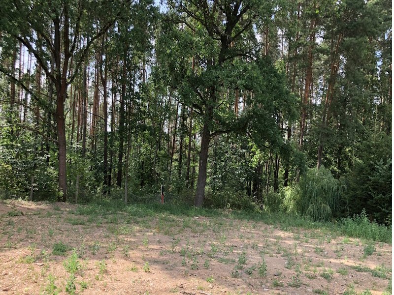 Exklusives Baugrundstück im Vorort von Dresden Exklusives Baugrundstück im Vorort von Dresden